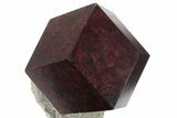 Spectacular Almandine Garnet in Schist - Tyrol, Austria #240651-1